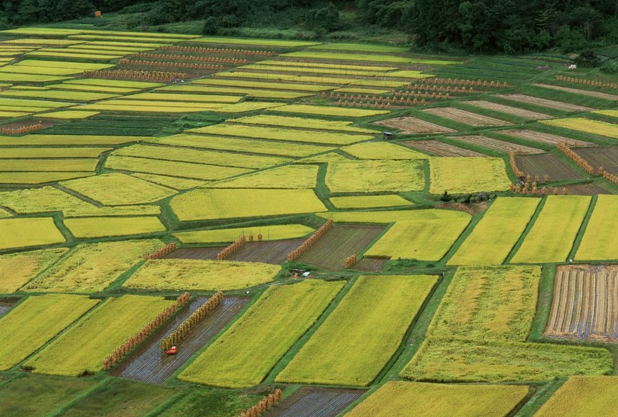 房	山区面积多少平方公里