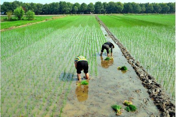 广东省面积多少平方公里(广东省面积平方公里数)