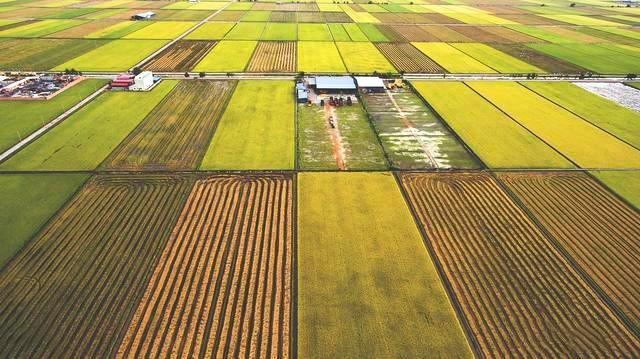 缅甸面积多少万平方公里(缅甸面积约676,000平方公里。)